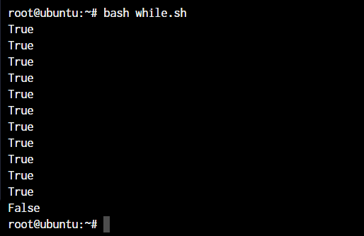 While Loop In Shell Script Output