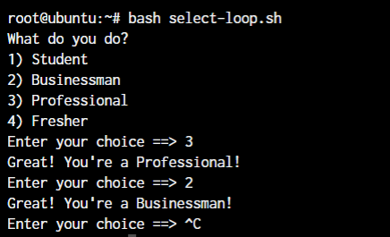 Select Loop In Shell Scripts