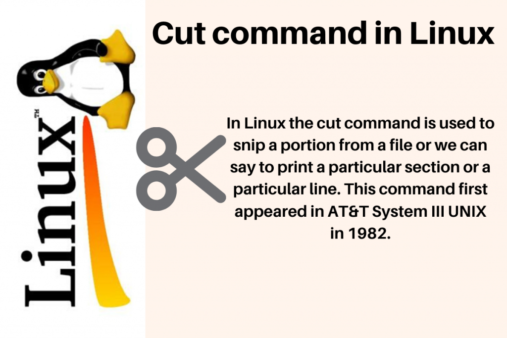 Cut Command In Linux