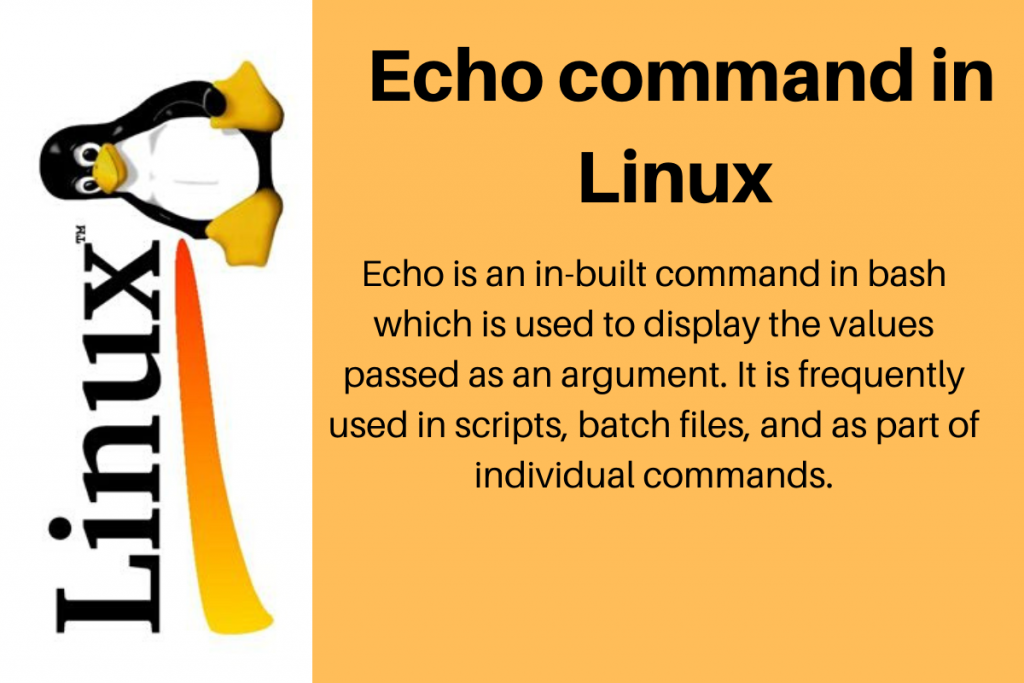 Echo Command In Linux