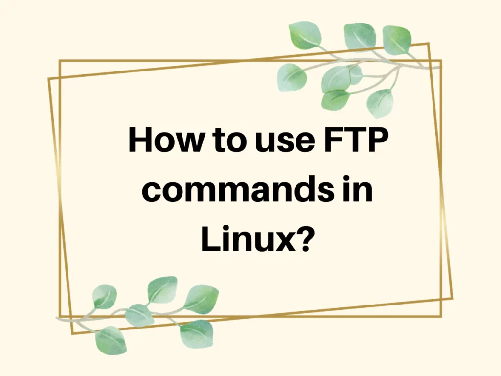How To Use FTP Commands In Linux (1)