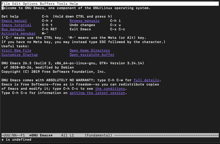 Emacs Screen