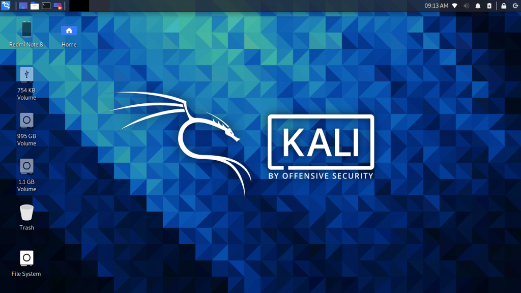 Kali Linux Booted From Live, Persistent, Encrypted ISO