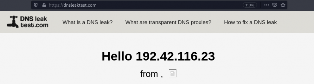 Test úniku DNS s povolenými řetězci proxy