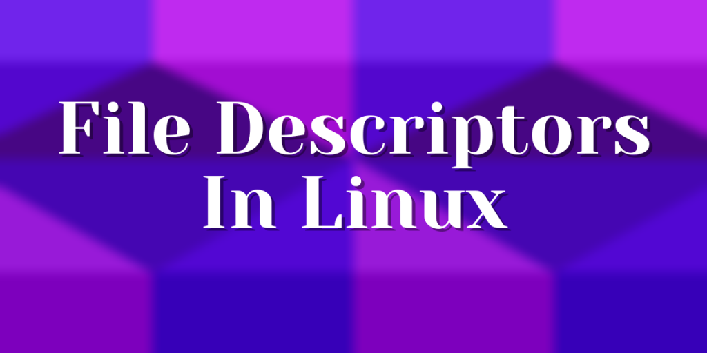 File Descriptors In Linux
