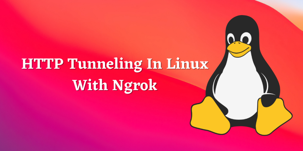 HTTP Tunneling In Linux With Ngrok