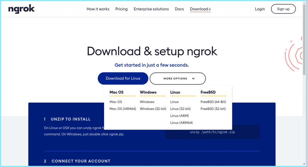Ngrok Download Page
