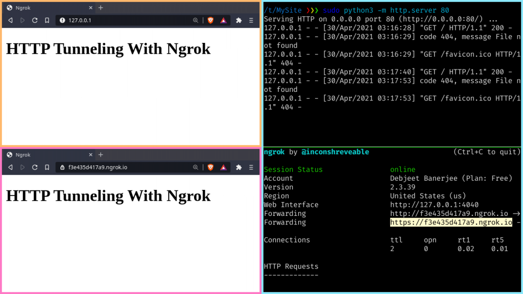 Http Tunneling with NGrok