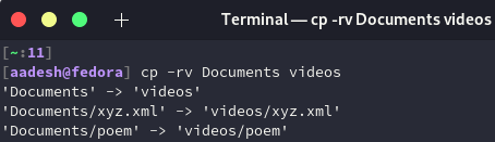 Cp Rv Command Output