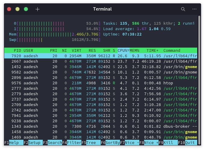 Htop Showing System Processes