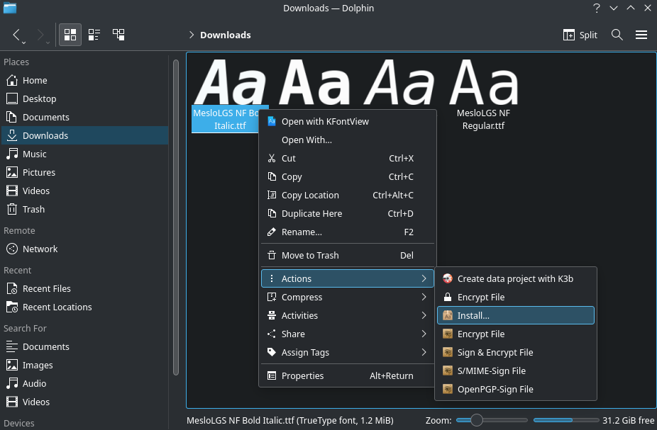 Install Nerd Fonts Arch Linux