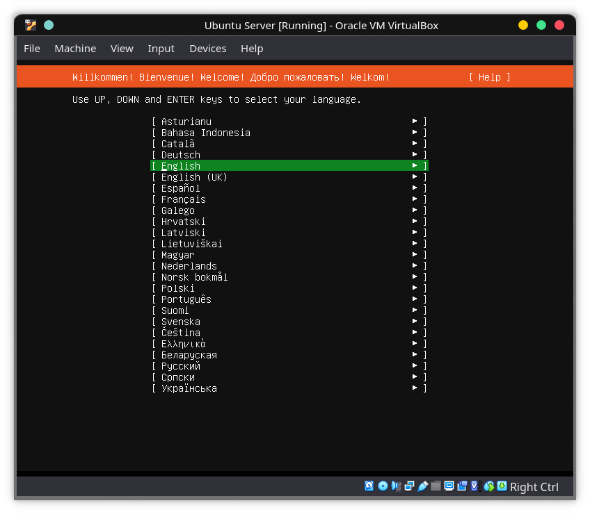 Ubuntu Server Setup Language