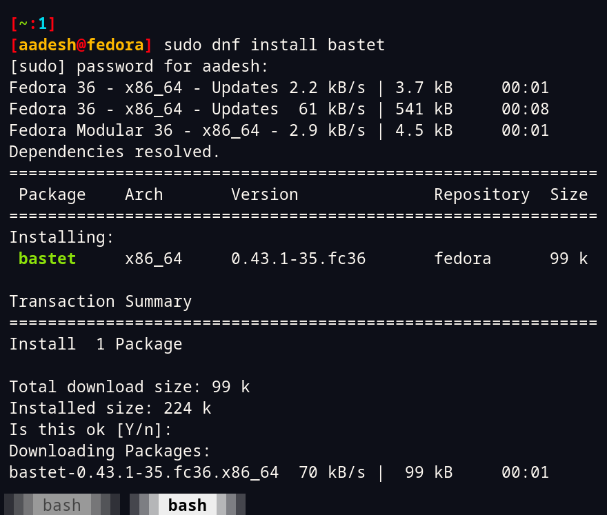 Installing Bastet On Linux