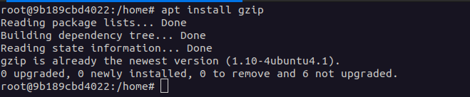Install Gzip